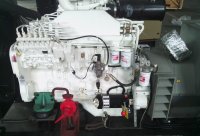 Spring Starter (7.5-11L)